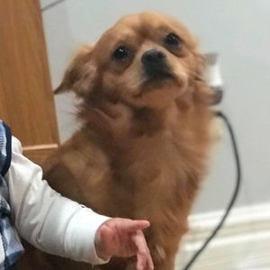 Meet your Posher, Mariaelena